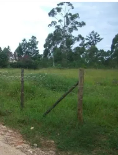 Terreno