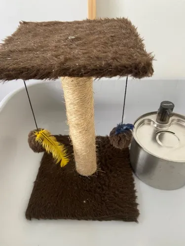 Kit pet com fonte de água de 12 V, estação de higiene e arranhador .