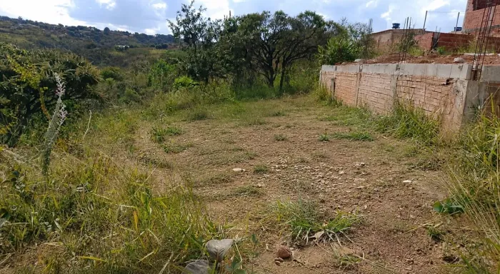 Terreno 8x20