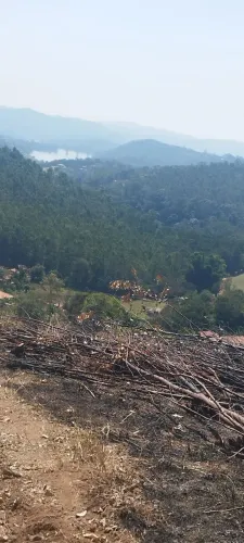 Terreno para sítio em Nazaré