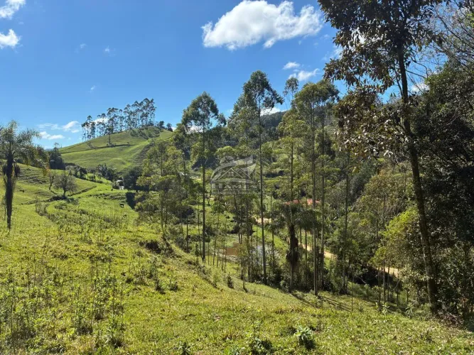 Terreno Rural para Venda em Angelina, LINHA DO CHAVES