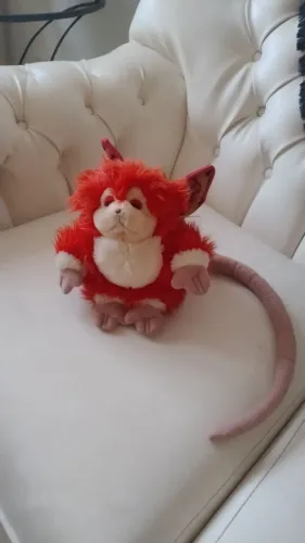 BICHOS DE PELÚCIA