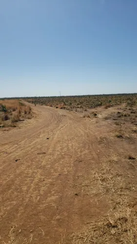 2.606 ha a venda em Uruçuí-PI