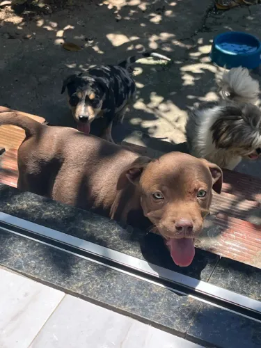 Pit monster