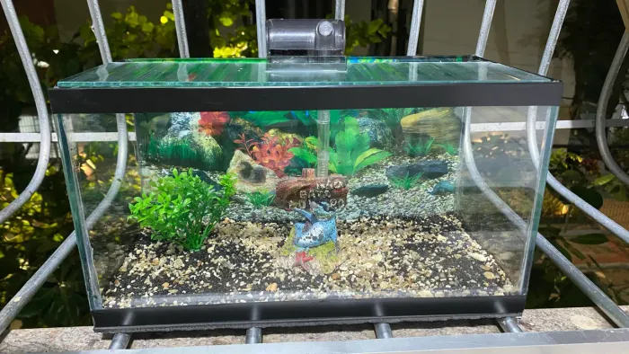 aquário Completo Nano 12L com Filtro Cascata + Brinde (Ideal para Betta)