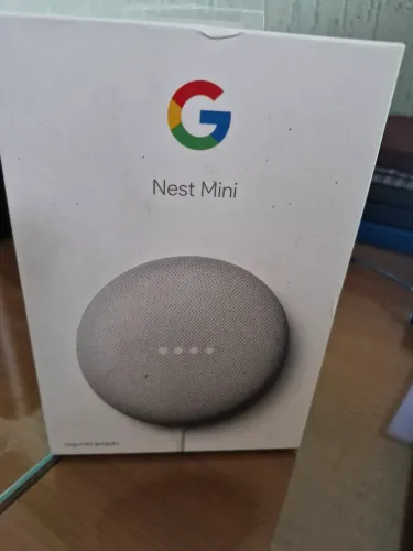 NEST Mini