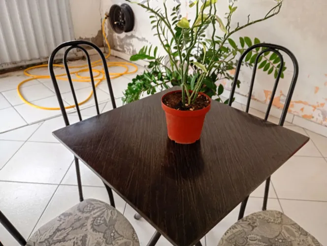 Vendo