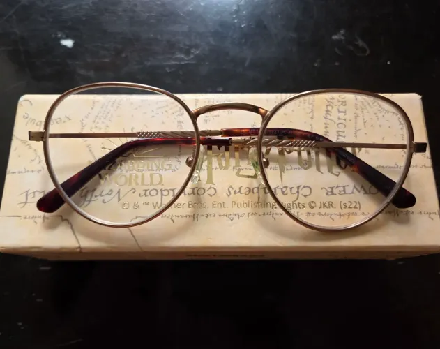 Óculos Harry Potter Chilli Beans Edicão Limitada