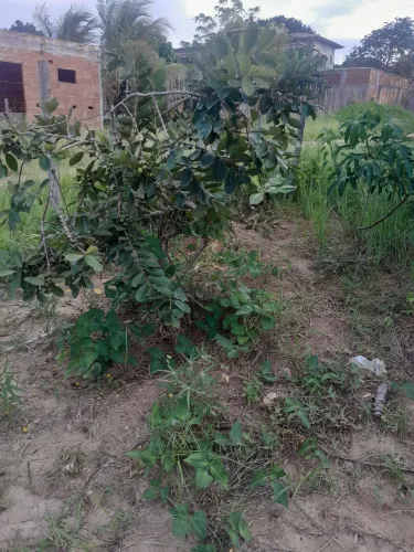 Vendo terreno em Búzios-Rj