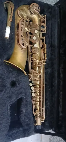 Sax alto Shelter