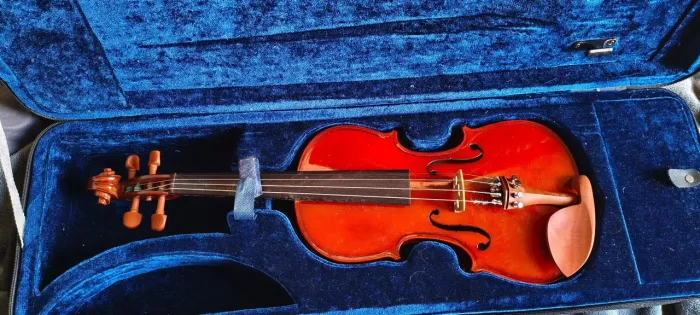 VIOLINO EAGLE 431