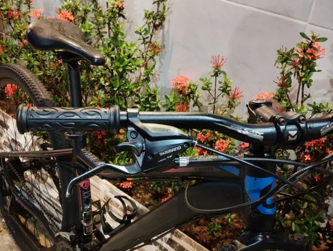 Bicicleta Lotus aro 29 conservada peças Shimano tamho do quarto 15 