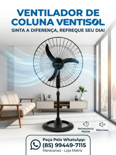 Ventilador Ventisol 60 cm de Coluna