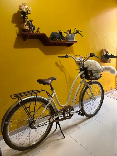 Bicicleta Antonella