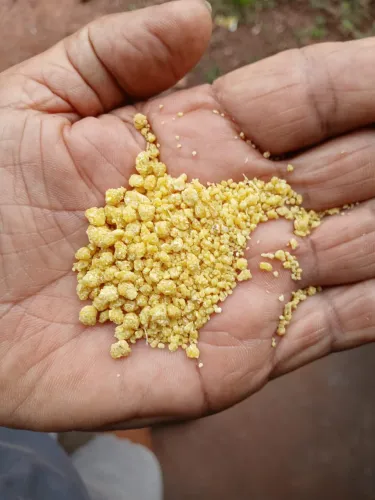Saca 50kg de farinha d?água