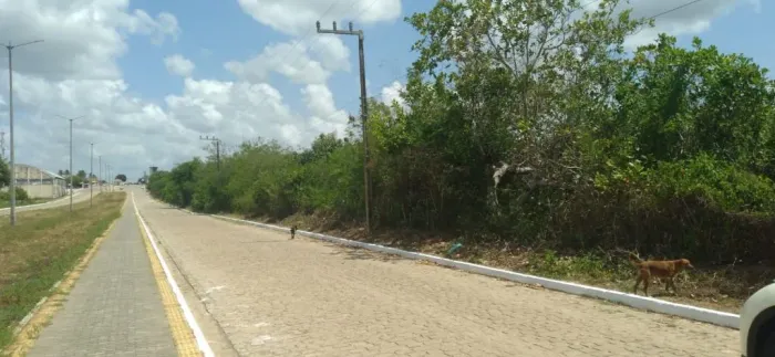 Terreno à venda, 182800 m² por R$ 800.000,00 - Centro - Poço Branco/RN
