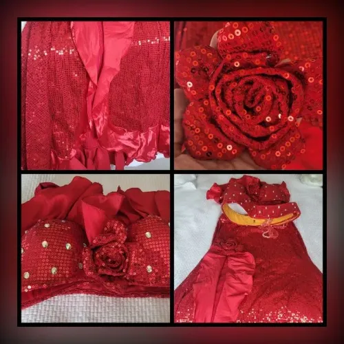 Figurino de dança do ventre vermelho  semi novo