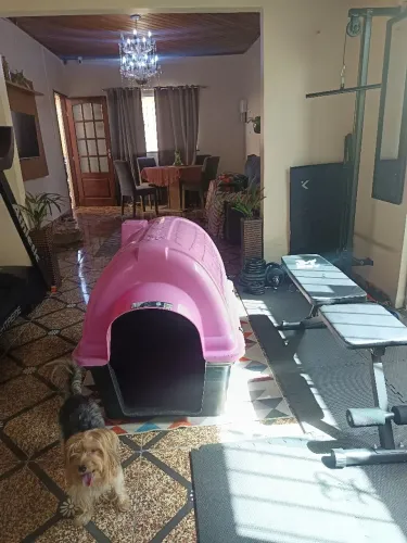Casa para cachorro