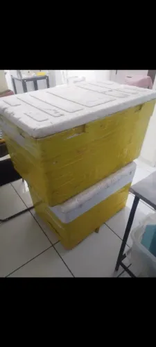 Isopores grandes 250L