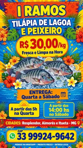 Tilápia de peixeiro