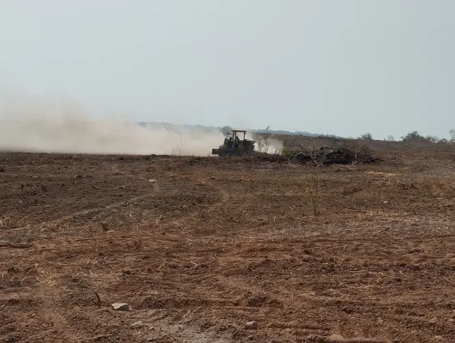 Fazenda com 800 he para parceria ao lado de palmas