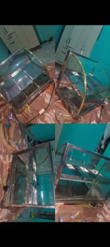 Vitrine/Estufa para Salgados - Pronta para Uso