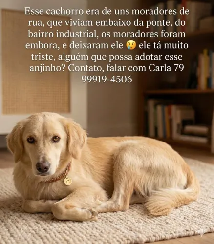 S.O.S PRA ESSE LINDO