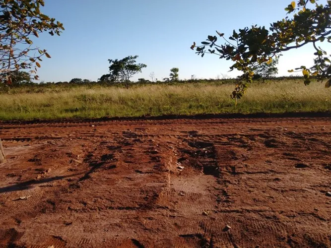 Fazenda para arrendamento para lavoura na Bahia