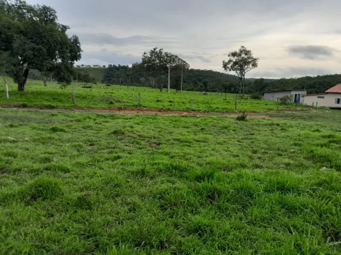 Faz 50 Alq 33 Alq de Pasto 85 km de Palmas divide com lavoura planta permitido