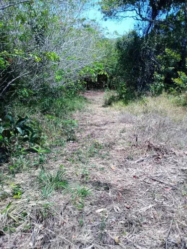 Terreno Imbassaí para Sítio 