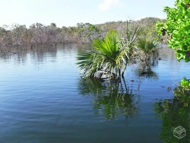 Vendo chácaras e lotes as margens do lago de serra da mesa