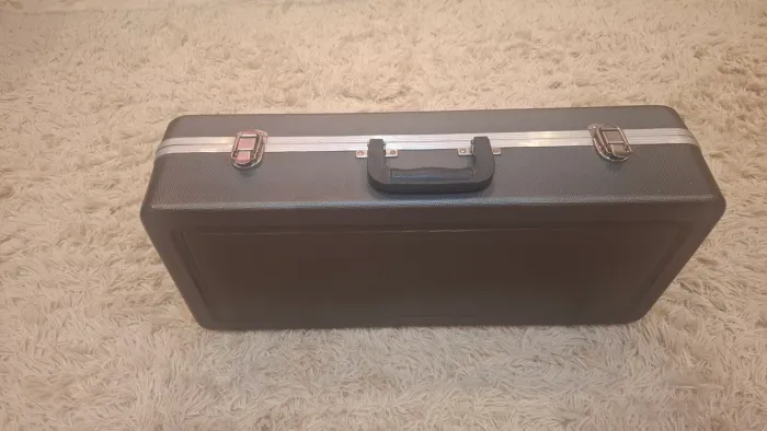 Case sax alto