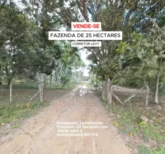 Castanhal estado Pará: Fazenda de 25 Hectares com Renda Ativa na BR-316.
