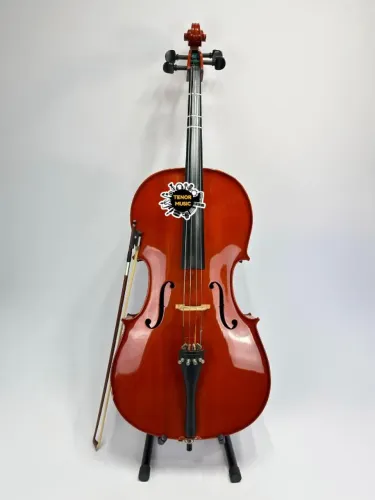 VIOLONCELO MICHAEL 4/4 SEMI-NOVO