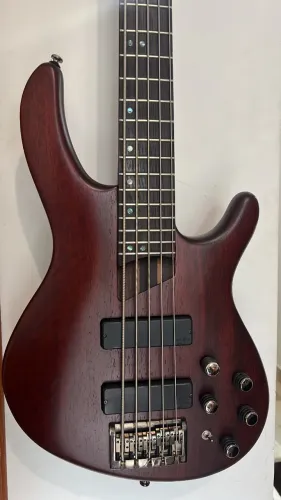 Baixo Cort B5 Mahogany Plus 