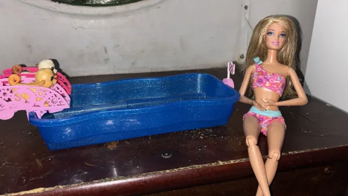 Barbie Family Corrida de Cachorrinhos na Piscina