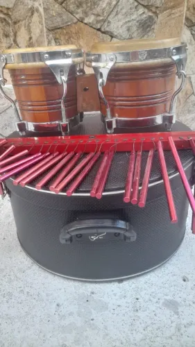 Bongo Raul + Carrilhão Raul com case.