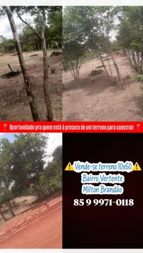 Terreno 