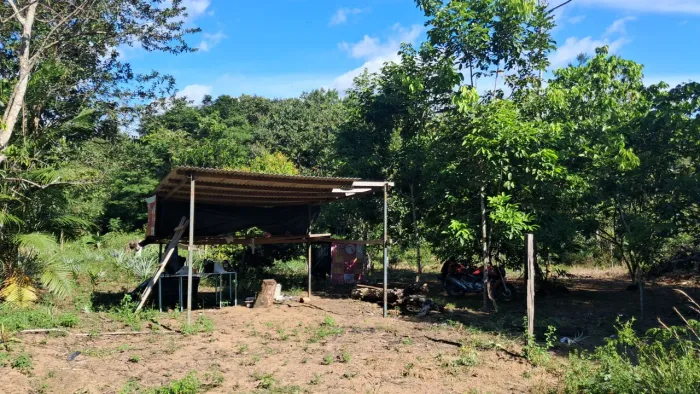 Vendo terreno no iranduba no ramal do caldeirão com fruteira dando fruta valor 30 mil