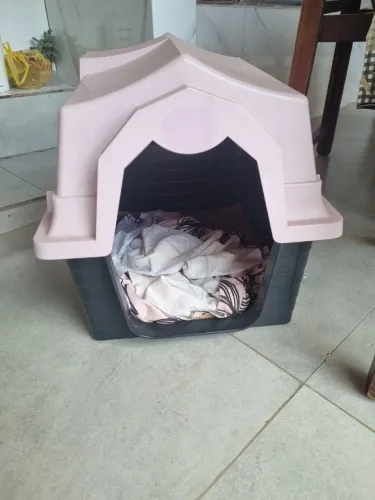 Casinha de cachorro