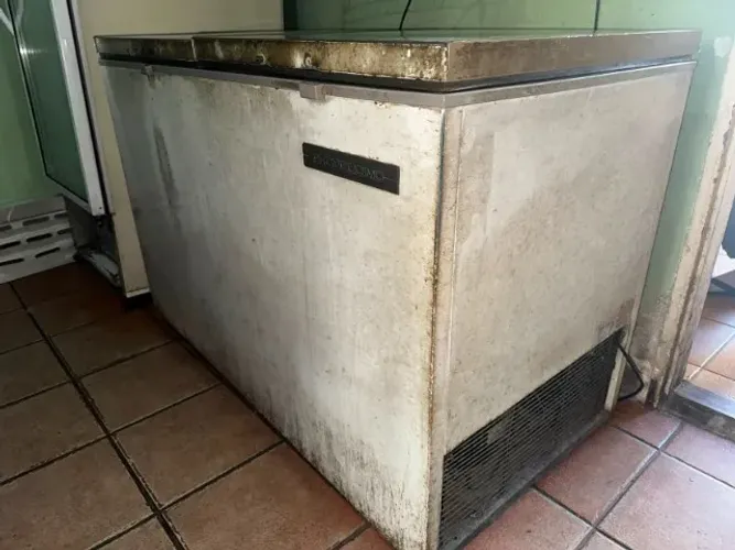 Freezer Horizontal Prosdocimo Grande (127V)