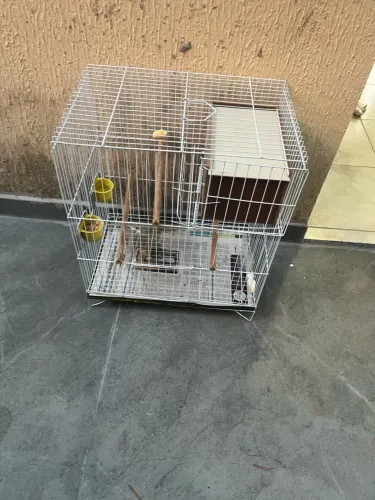 Gaiola para calopsita