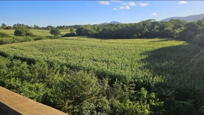 Vende-se Propriedade Rural  -  Estrada da Produção 