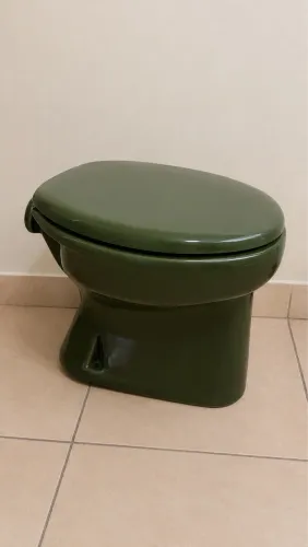 Vaso sanitário verde
