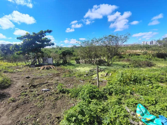 Terreno Papagaio 