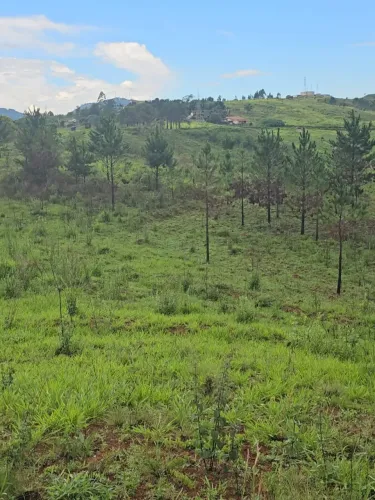 Terrenos Loteamento em Poços de Caldas