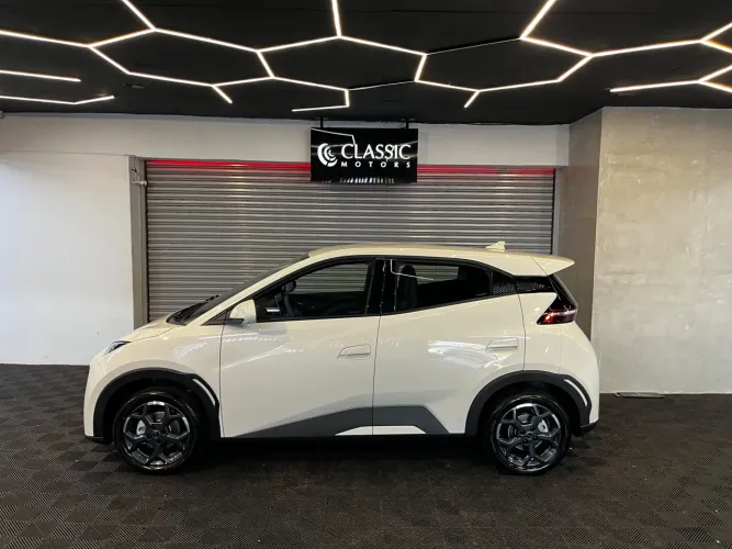 BYD Dolphin Mini (Elétrico) 2027