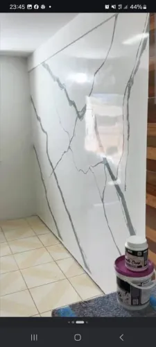Pintor profissional 