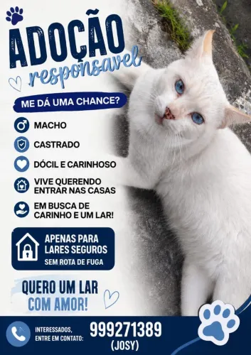 BRANCO LINDO
