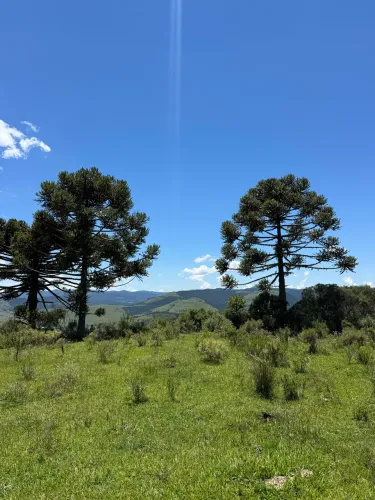 Vende se 2 hectares 